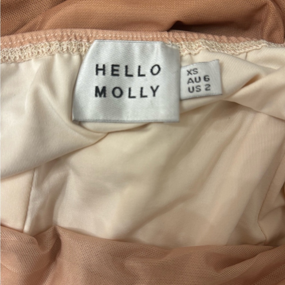 Hello Molly mesh Ombre brown midi Dress - Picture 3 of 3